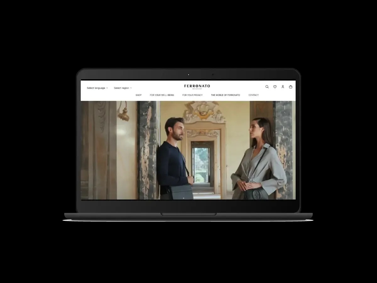 ferronato website image